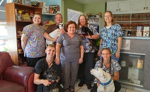 The Team at Awesome Care Veterinary Hospital