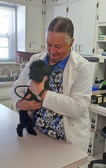 Veterinarian with Small Dog